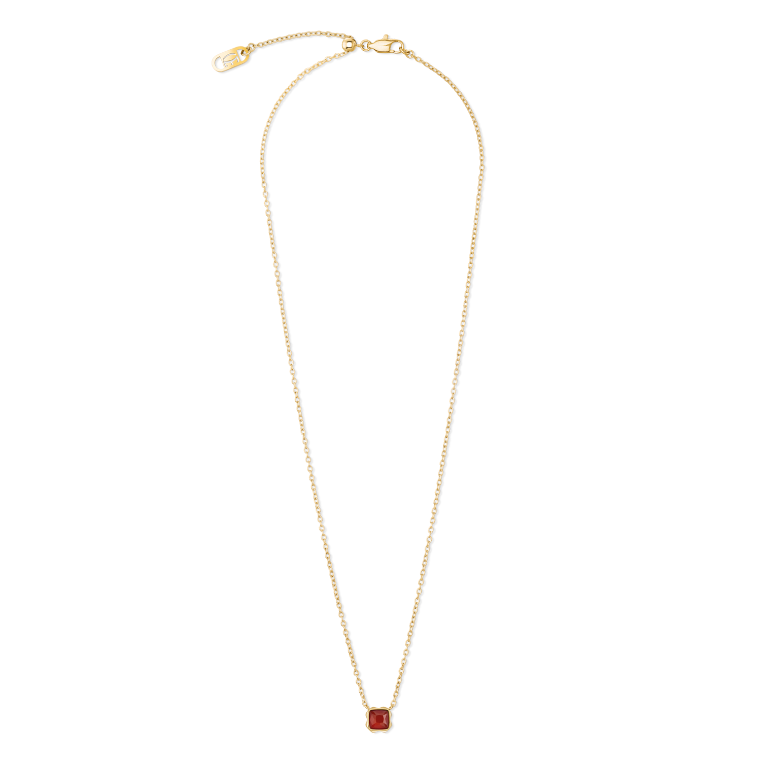 Birthstone January Necklace Red Agate Gold