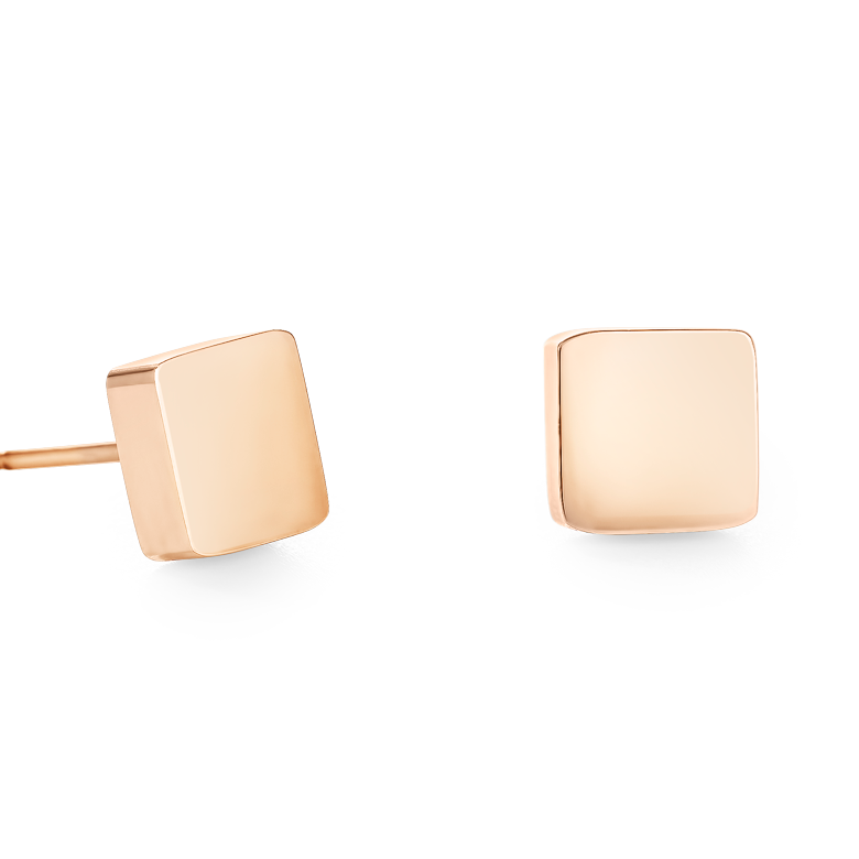 Earrings Square stainless steel rose gold