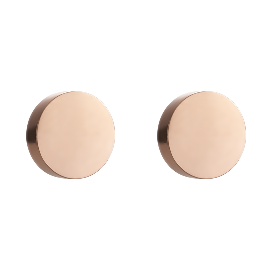 Earrings Round stainless steel rose gold